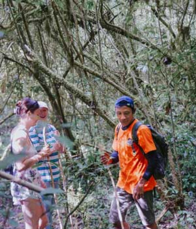 Ketut Darma